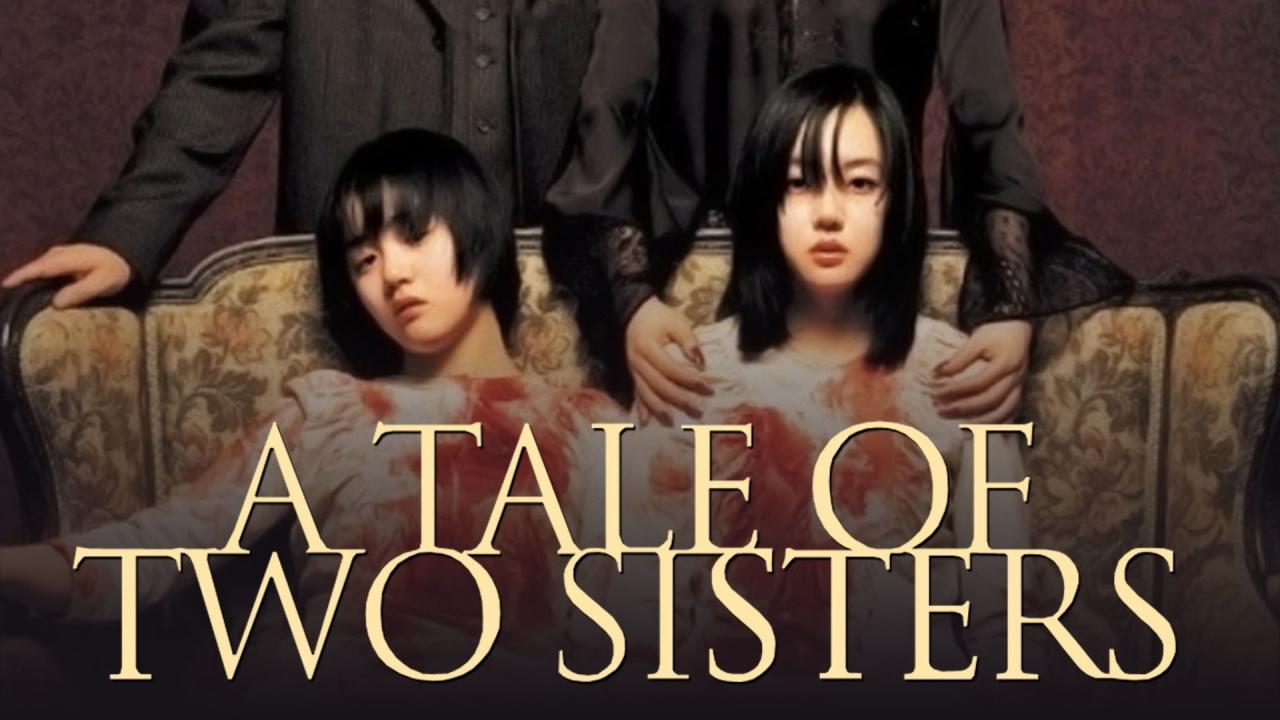 فيلم A Tale Of Two Sisters 2003 مترجم كامل HD