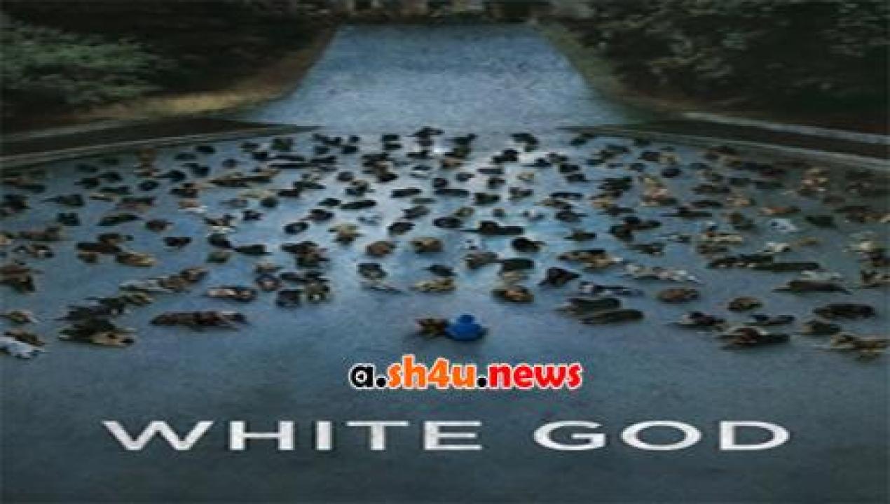 فيلم White God 2014 مترجم - HD