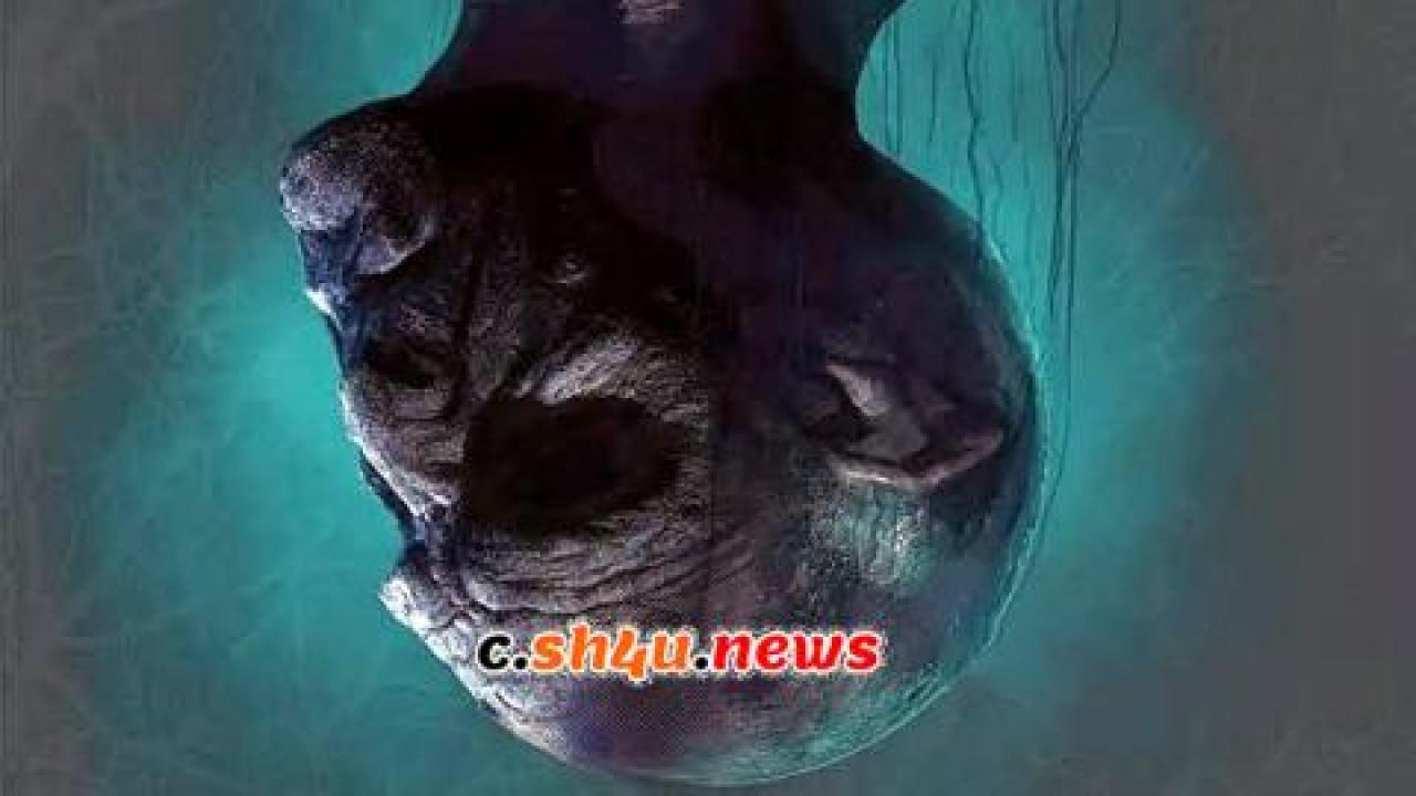 فيلم Crypsis 2019 مترجم - HD