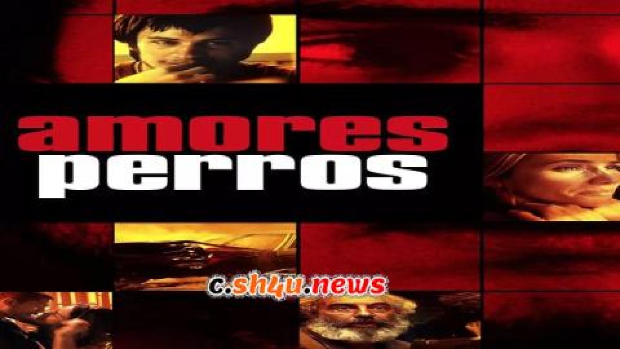 فيلم Amores Perros 2000 مترجم - HD