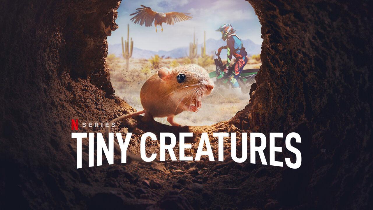 مسلسل Tiny Creatures الموسم الاول الحلقة 3 الثالثة مترجمة