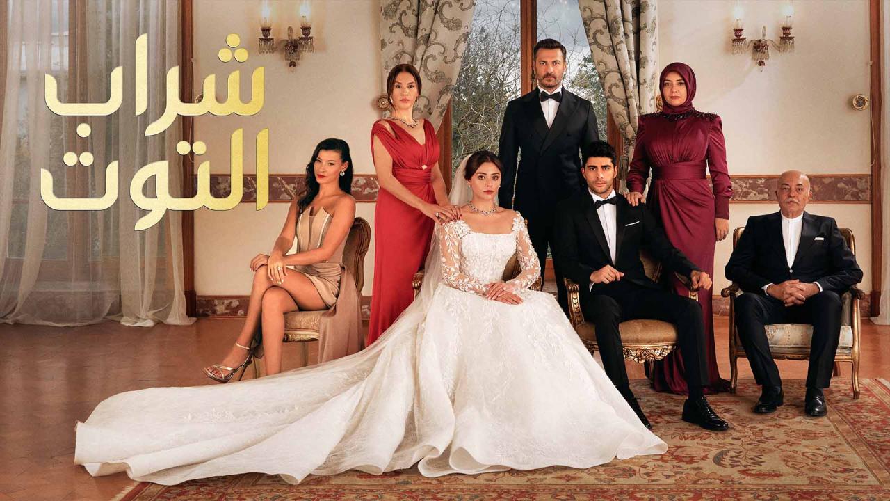 مسلسل شراب التوت الحلقة 19 التاسعة عشر مدبلجة