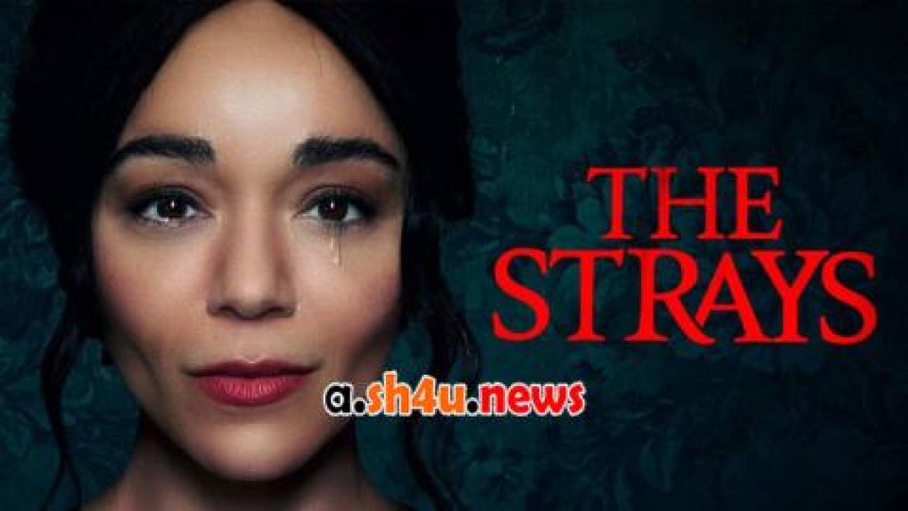 فيلم The Strays 2023 مترجم - HD