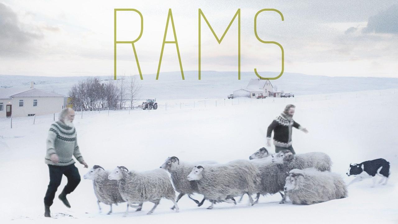 فيلم Rams 2015 مترجم كامل HD