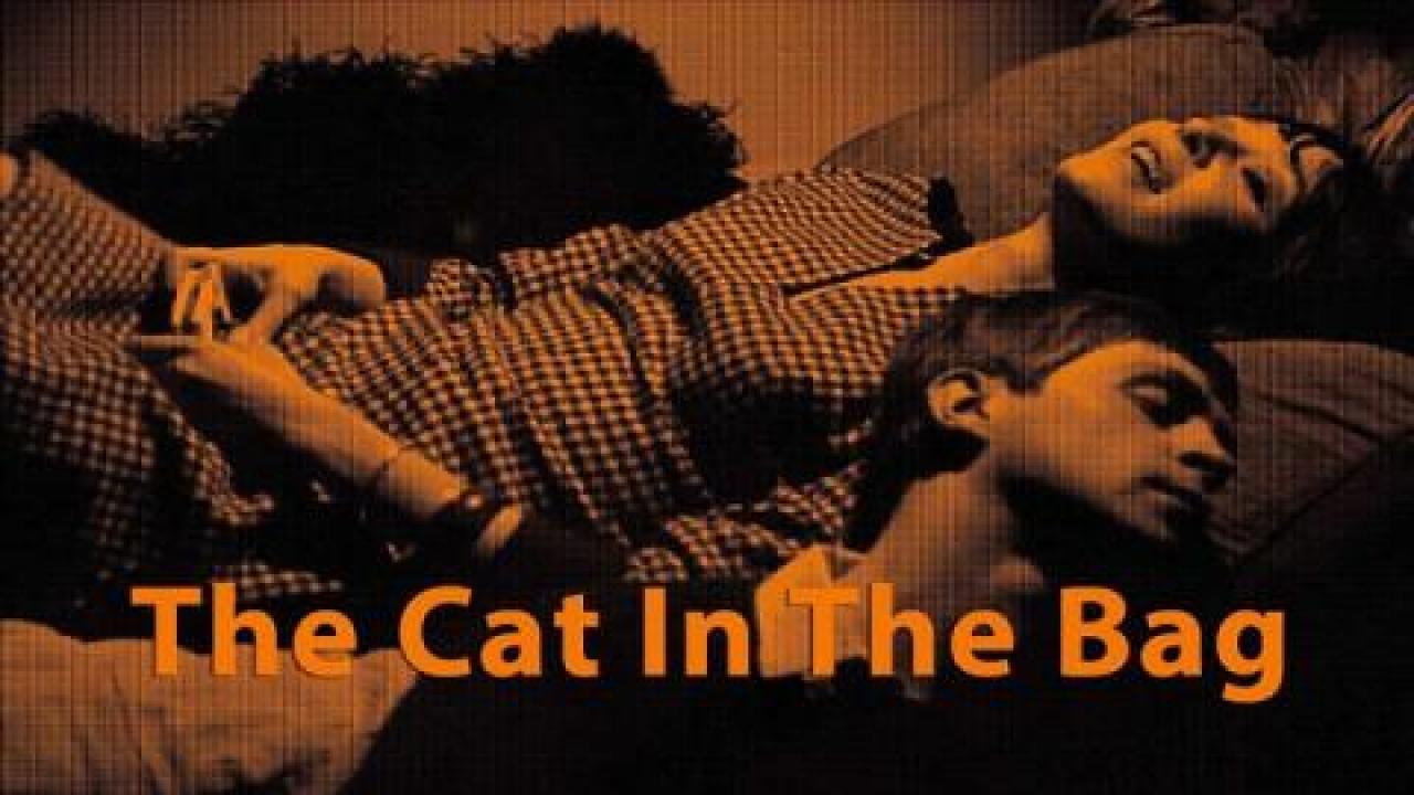 فيلم The Cat In The Bag 1964 مترجم كامل HD