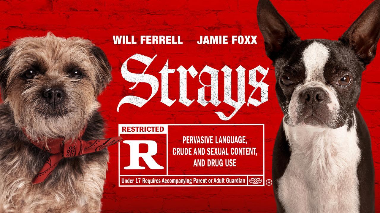 فيلم Strays 2023 مترجم كامل HD