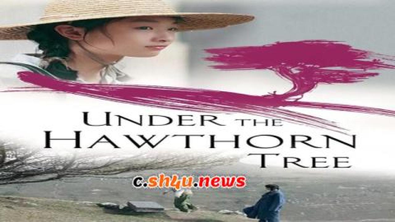 فيلم Under the Hawthorn Tree 2010 مترجم - HD