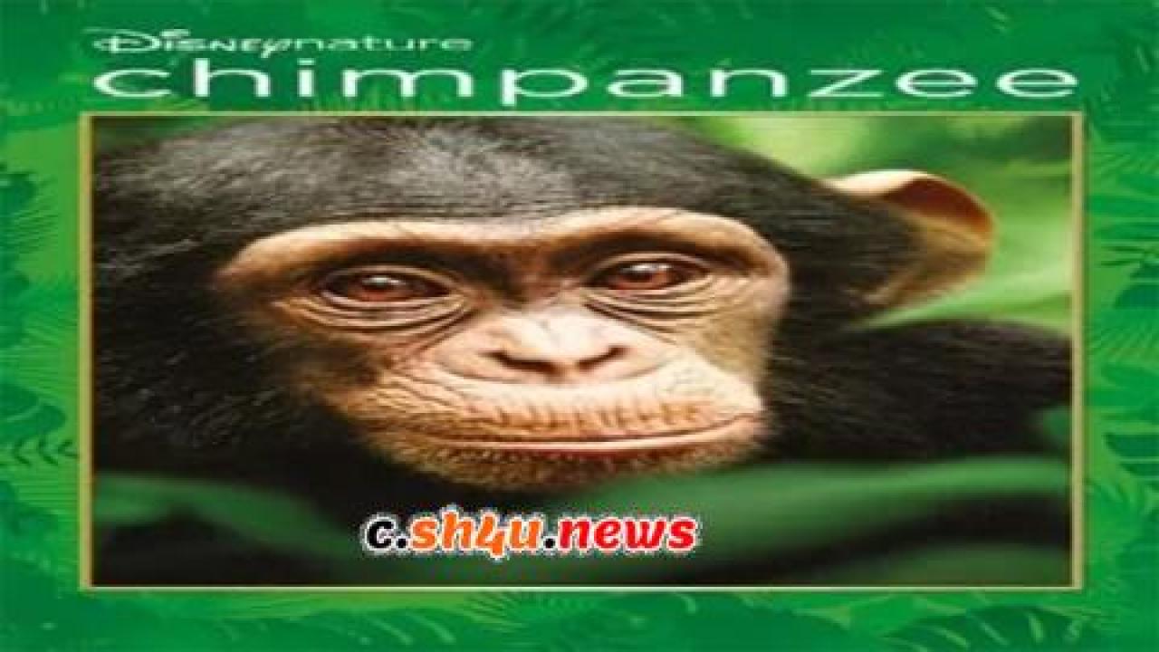 فيلم Chimpanzee 2012 مترجم - HD