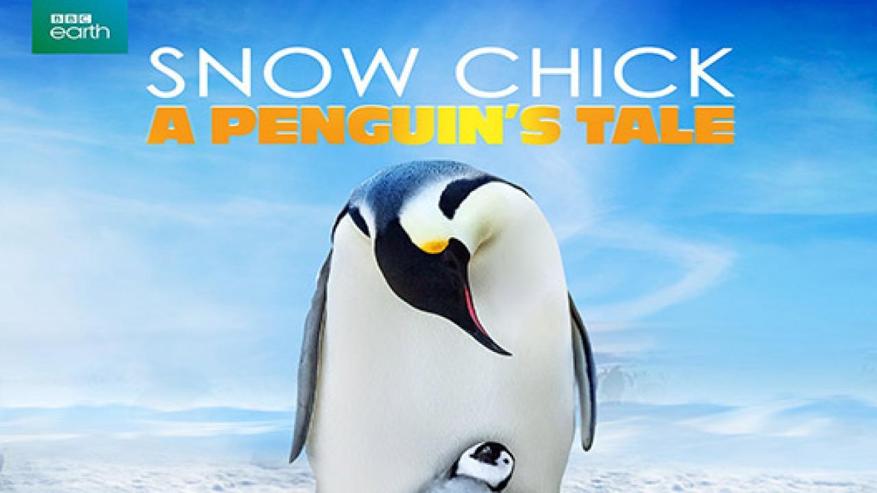 فيلم Snow Chick A Penguin's Tale 2015 مترجم كامل HD