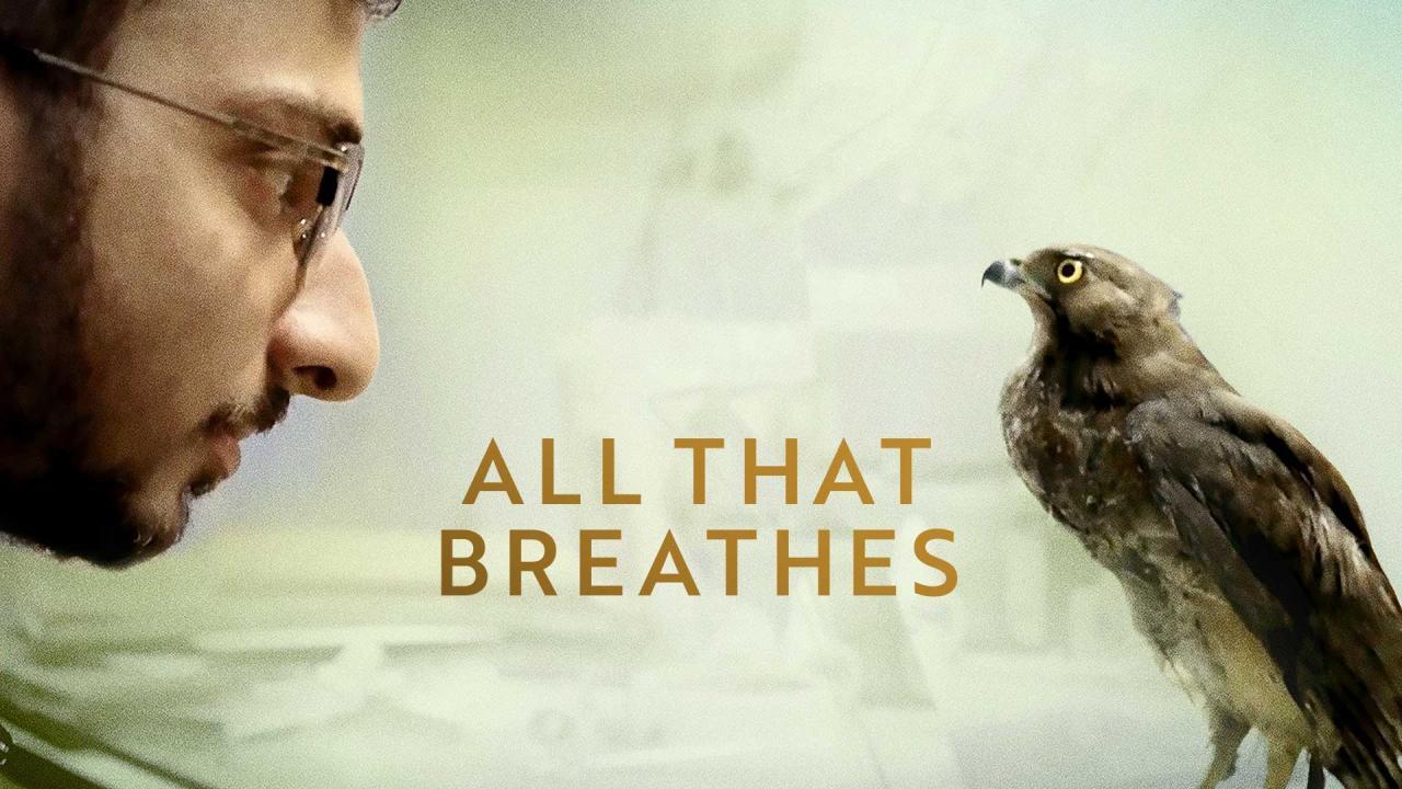 فيلم All That Breathes 2022 مترجم كامل HD