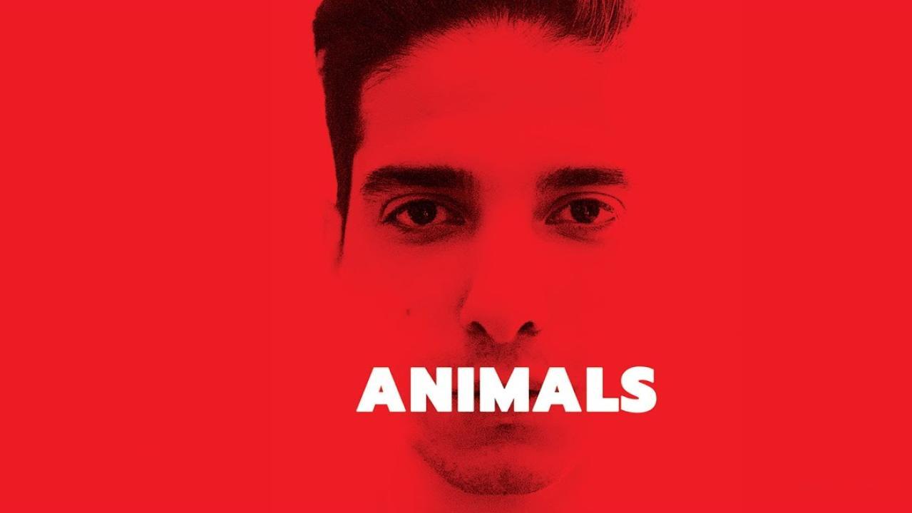 فيلم Animals 2021 مترجم كامل HD