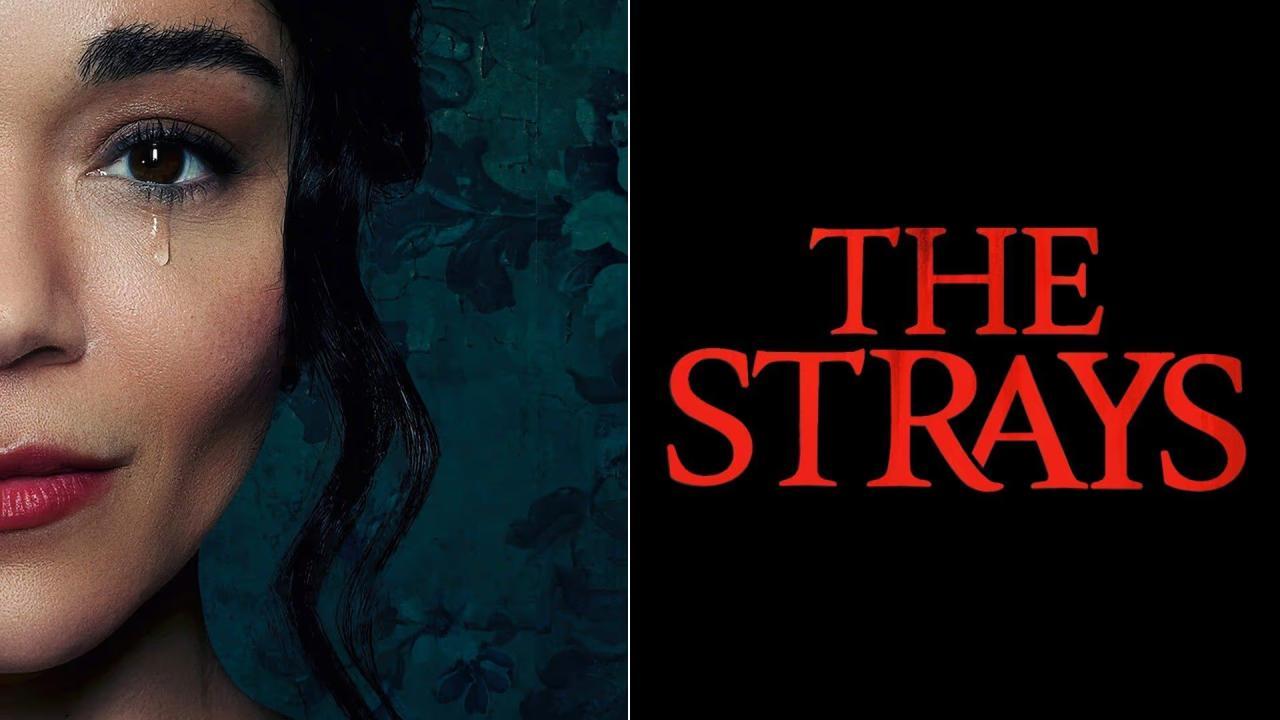 فيلم The Strays 2023 مترجم كامل HD