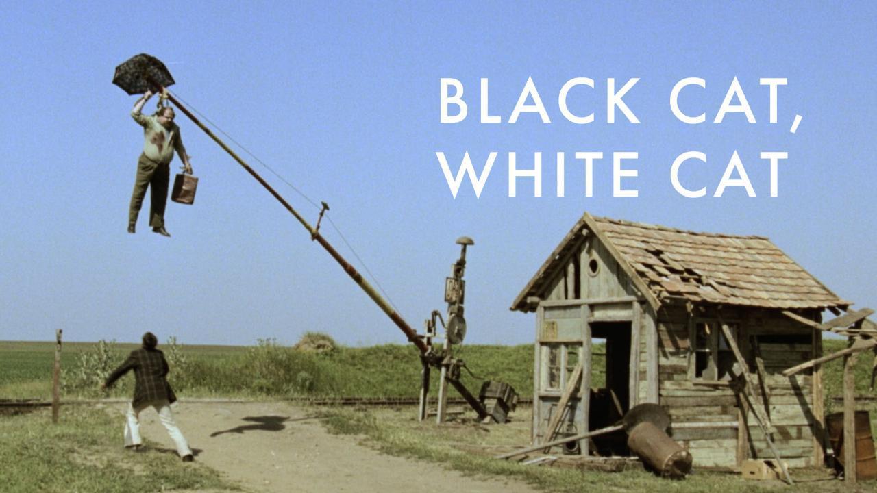فيلم Black Cat, White Cat 1998 مترجم كامل HD