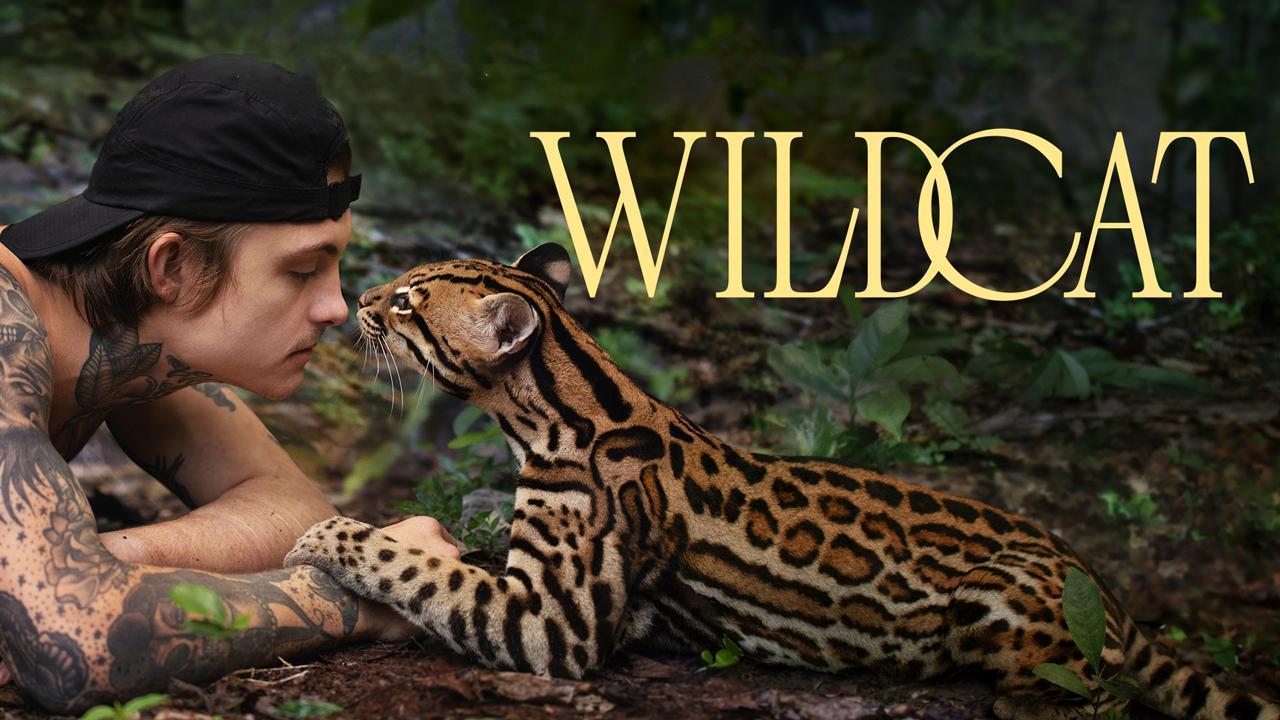 فيلم Wildcat 2022 مترجم كامل HD