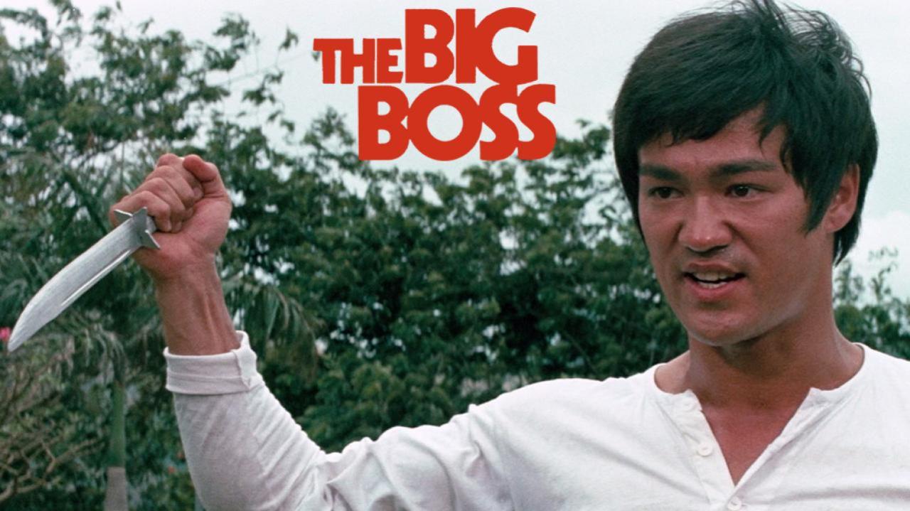 فيلم The Big Boss 1971 مترجم كامل HD