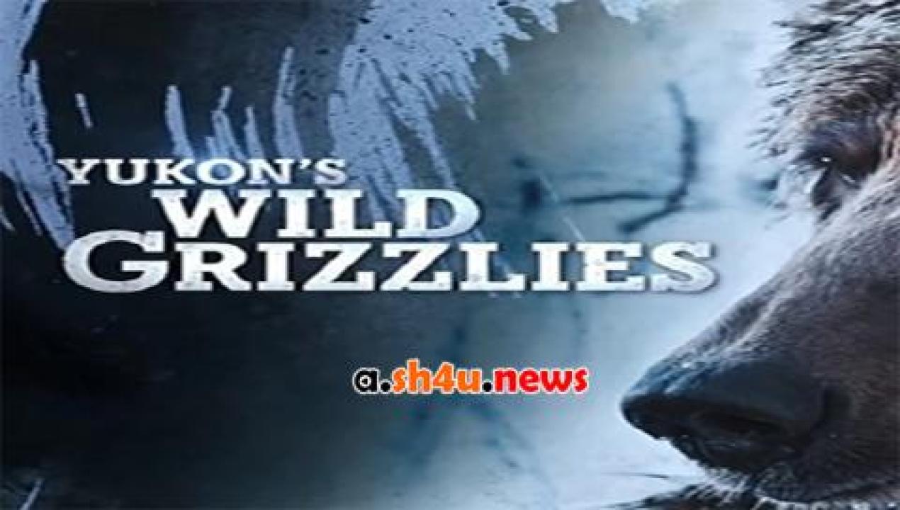 فيلم Yukons Wild Grizzlies 2021 مترجم - HD